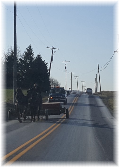 Amish team 2/28/17