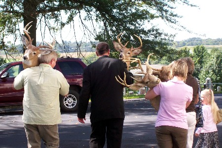 Deer mounts at Discover Joy