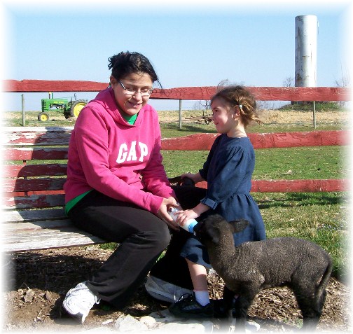 Ester feeding lamb 3/13/12