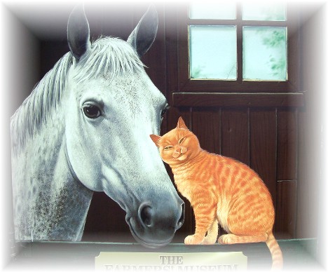 Horse and cat in barn window