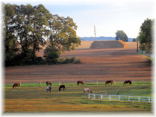 Horse farm on Kraybill Church Road