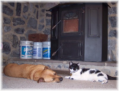 Roxie and Dottie in front of coal stove
