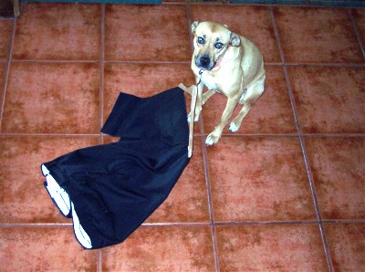 Roxie with slacks