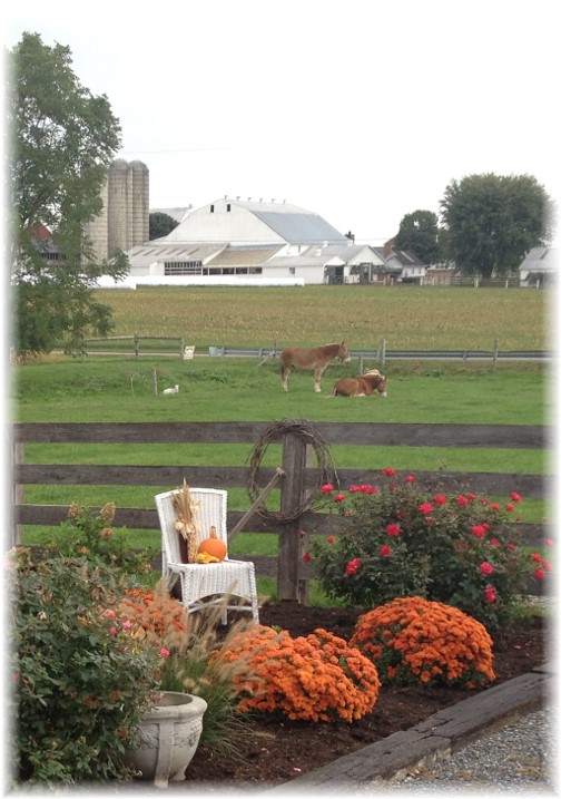 Amish farm near New Holland, PA 10/1/15