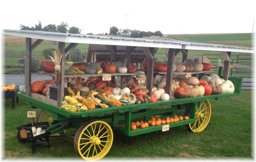 Amish harvest wagon near New Holland, PA 10/1/15