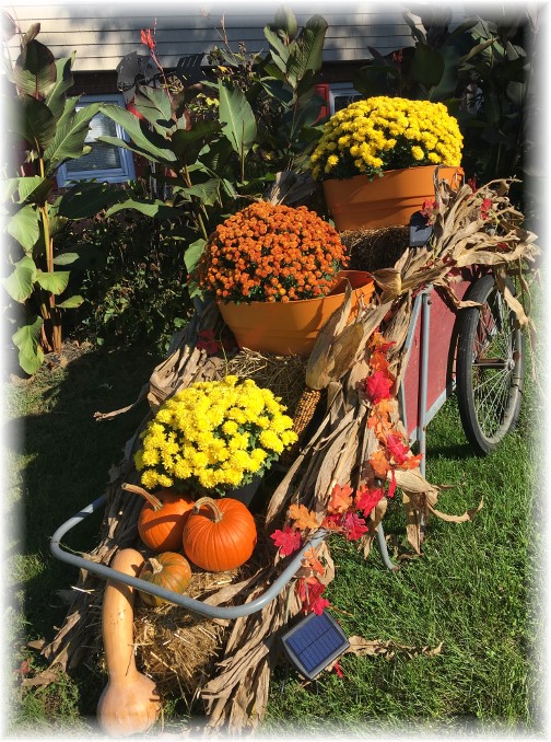Autumn garden cart 10/18/17