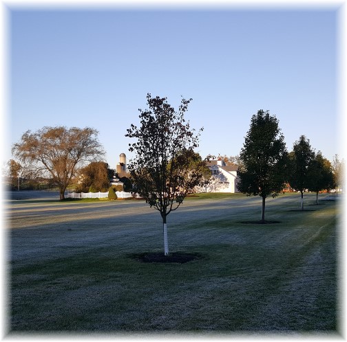 Frosty morning in Lebanon County 10/17/17 (Click to enlarge)