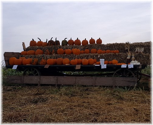 Pumpkin wagon, Lancaster County, PA  9/21/16