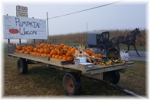 Pumpkin wagon near Paradise, PA 9/28/16 (Click to enlarge)