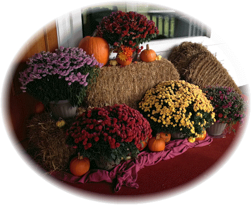 Autumn display on the veranda at the Shawnee Inn 11/2/14