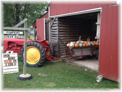 Union Mill Acres tractor and pumpkins 9/10/14