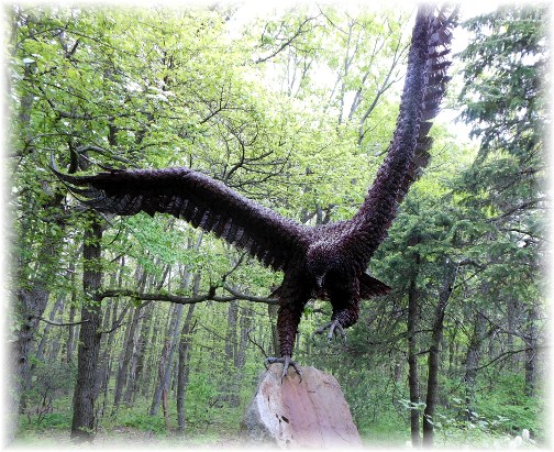 Hawk Mountain eagle
