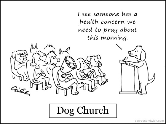 Dog church from the Sacred Sandwich (used by permission)
