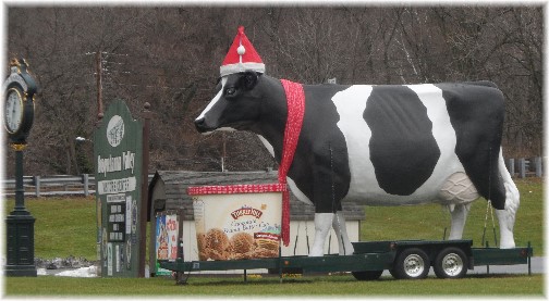 Turkey Hill Dairy Holiday Cow 12/22/13