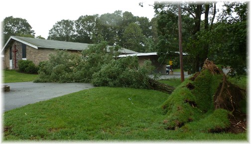 Fallen tree over church parking lot (Hurricane Irene)