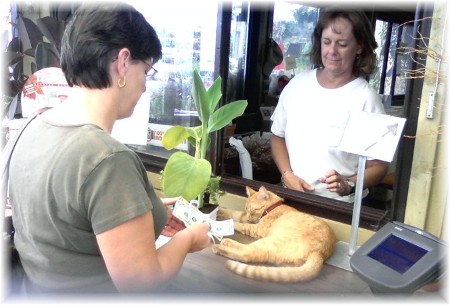 Brooksyne with greenhouse cat