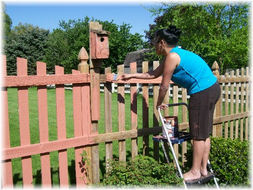 Ester painting fence 5/9/11