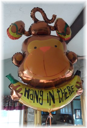 "Hang in There" balloon