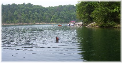 Swimming in Raystown Lake