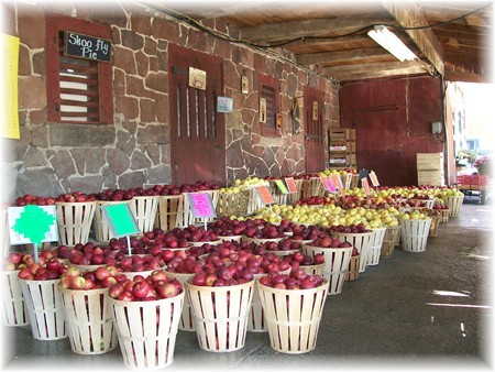 The Village Farm Market