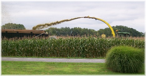 Corn chopping harvest 8/24/10