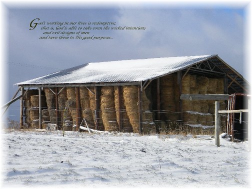 Hay barn in snow