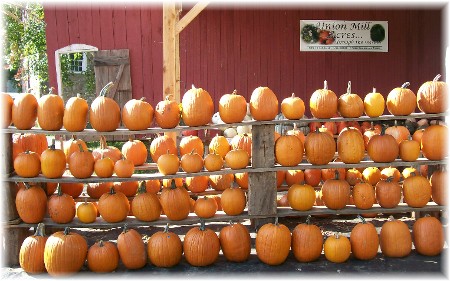 Pumpkins