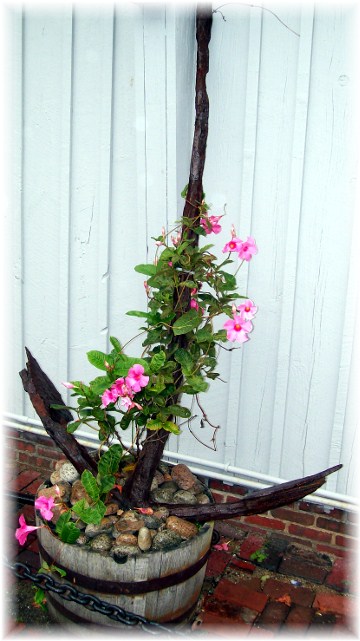 Anchor flower planter, Rockport, Massachusetts