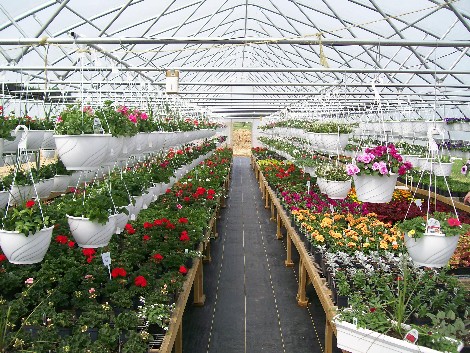 Creekside Greenhouse, Lancaster County PA