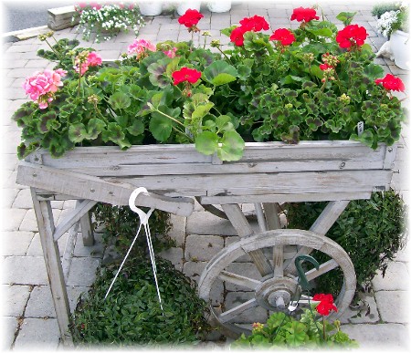 Flower cart at Kitchen Kettle Village, Lancaster County PA 4/22/10