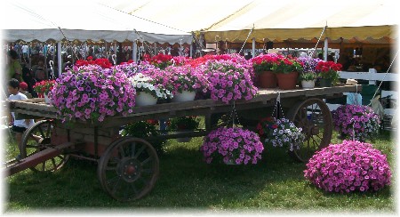 Flower cart in Perry County PA