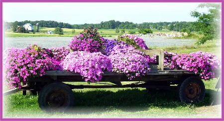 Flower wagon