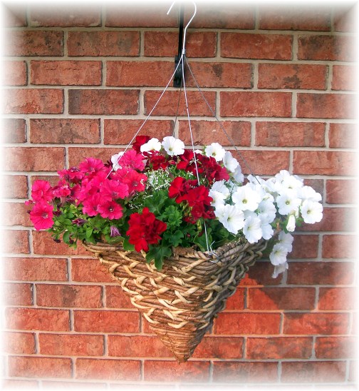 Hanging basket in front of our home