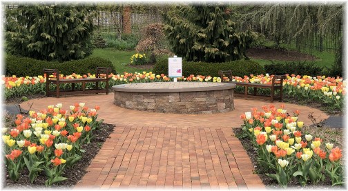 Hershey Gardens tulips 4/24/18 (Click to enlarge)