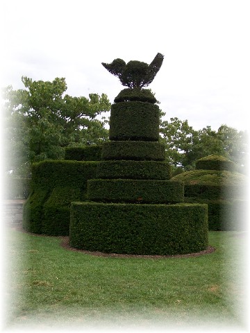 Topiary at Longwood Gardens