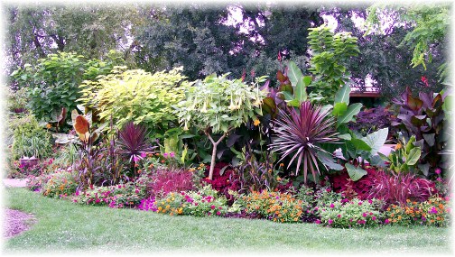 Olbrich Botanical Gardens 8/9/12