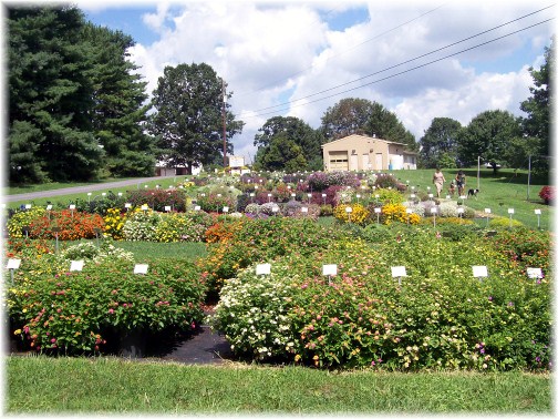 Penn State trial garden