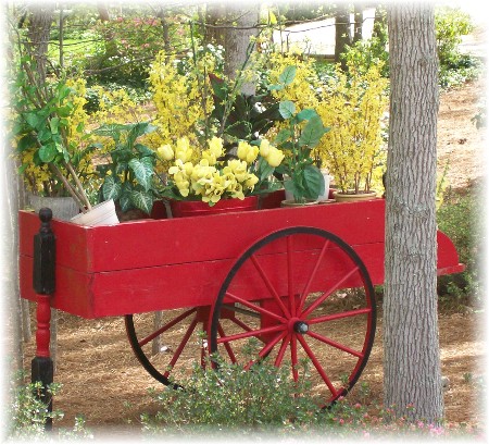 Red flower cart near Greensboro NC