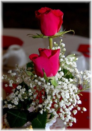 Rose arrangement (photo by Doris High)