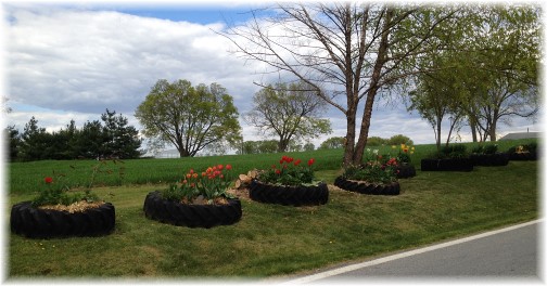 Tractor tire planters on Donegal Springs Road