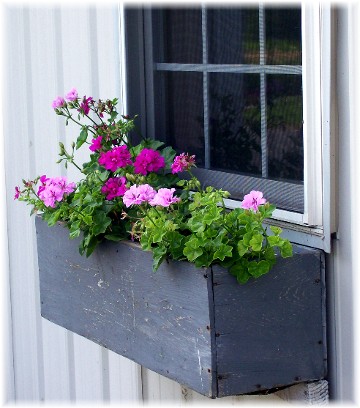 Window box on barn