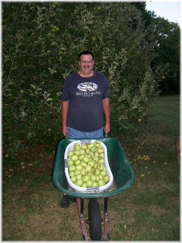 2010 apple harvest, Lancaster County, PA
