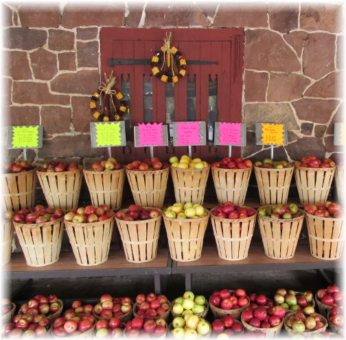 Apples for sale at Village Farm Market 10/3/13