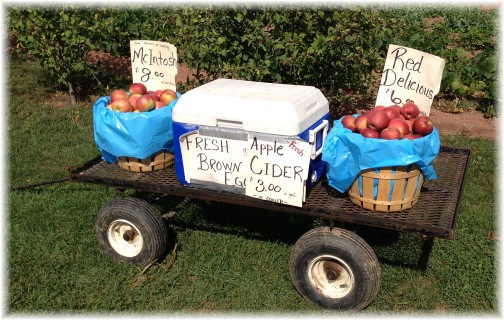 Apples for sale 10/9/14