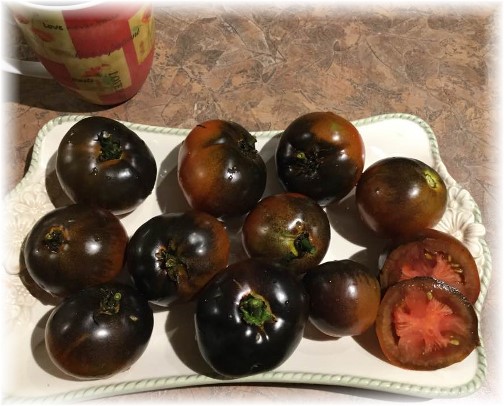 Black tomatoes 9/20/17