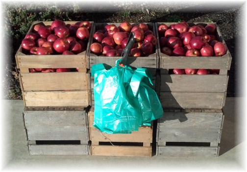 Christmas apples 12/23/12