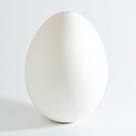 Photo of egg