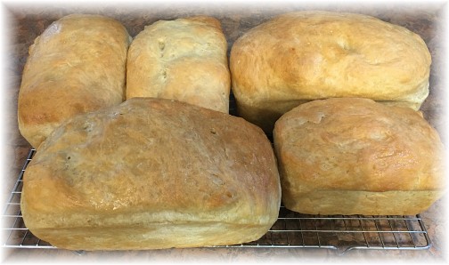 Homemade bread 1/31/17