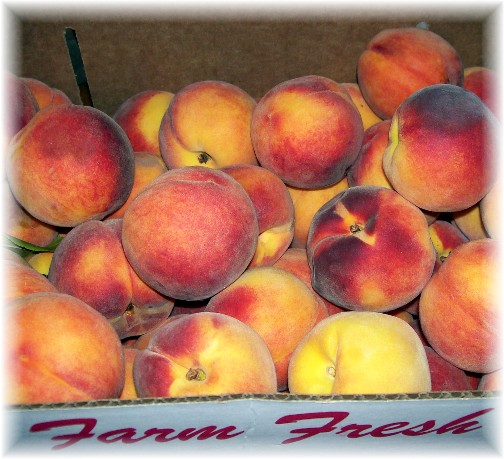 Box of Lancaster County PA peaches