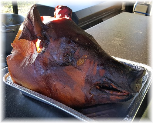 Pig roast head 6/7/16